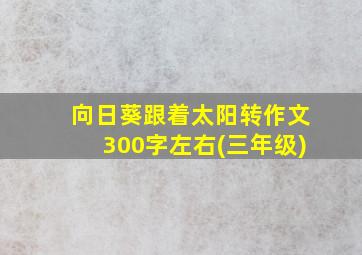 向日葵跟着太阳转作文300字左右(三年级)