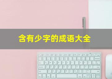 含有少字的成语大全