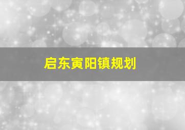 启东寅阳镇规划