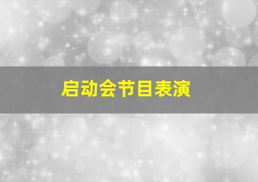 启动会节目表演