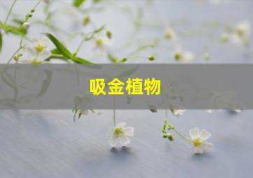 吸金植物