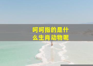 呵呵指的是什么生肖动物呢