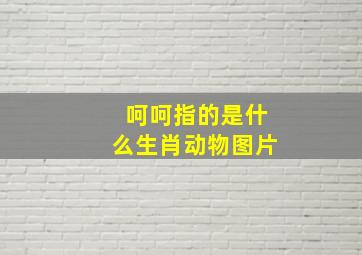 呵呵指的是什么生肖动物图片