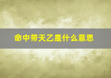 命中带天乙是什么意思