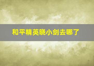 和平精英晓小剑去哪了