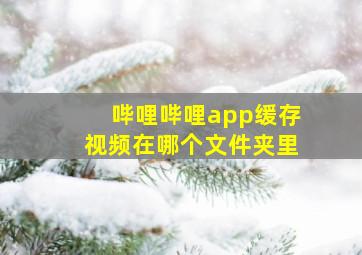 哔哩哔哩app缓存视频在哪个文件夹里