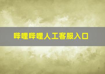 哔哩哔哩人工客服入口