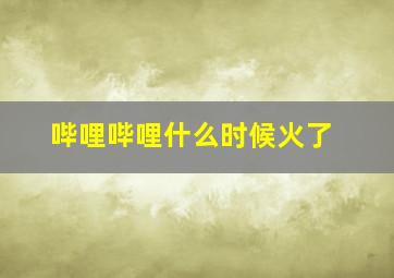 哔哩哔哩什么时候火了