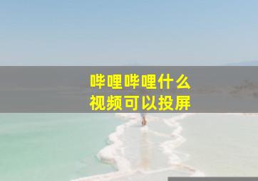 哔哩哔哩什么视频可以投屏