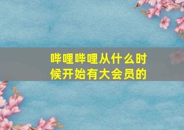 哔哩哔哩从什么时候开始有大会员的