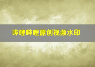 哔哩哔哩原创视频水印