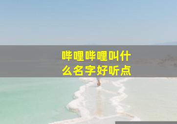 哔哩哔哩叫什么名字好听点