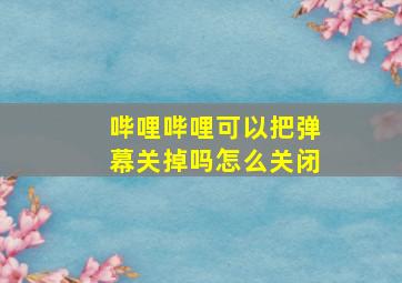 哔哩哔哩可以把弹幕关掉吗怎么关闭