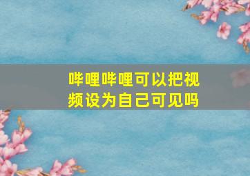 哔哩哔哩可以把视频设为自己可见吗