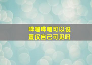 哔哩哔哩可以设置仅自己可见吗