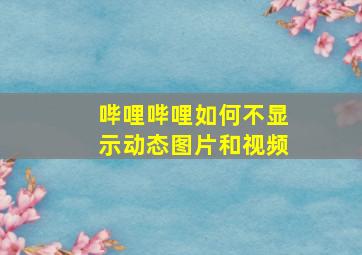 哔哩哔哩如何不显示动态图片和视频