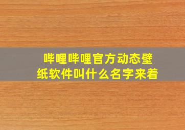 哔哩哔哩官方动态壁纸软件叫什么名字来着