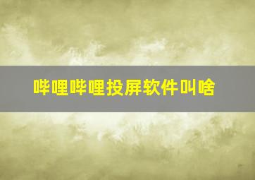 哔哩哔哩投屏软件叫啥