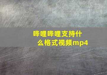 哔哩哔哩支持什么格式视频mp4