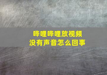 哔哩哔哩放视频没有声音怎么回事