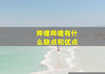 哔哩哔哩有什么缺点和优点