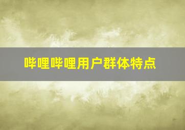 哔哩哔哩用户群体特点