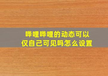 哔哩哔哩的动态可以仅自己可见吗怎么设置