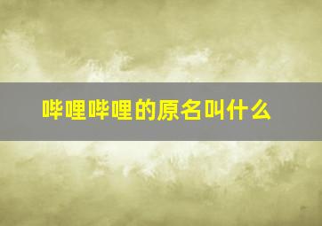 哔哩哔哩的原名叫什么