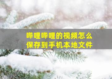 哔哩哔哩的视频怎么保存到手机本地文件