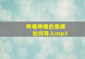 哔哩哔哩的音频如何导入mp3