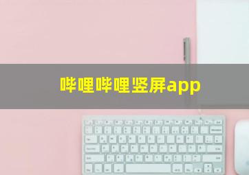 哔哩哔哩竖屏app