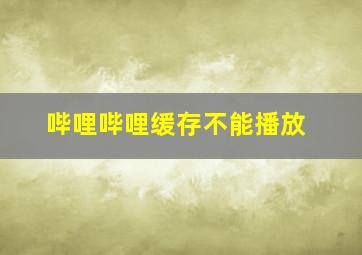 哔哩哔哩缓存不能播放