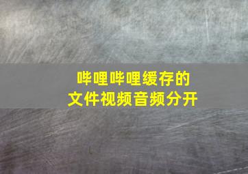 哔哩哔哩缓存的文件视频音频分开