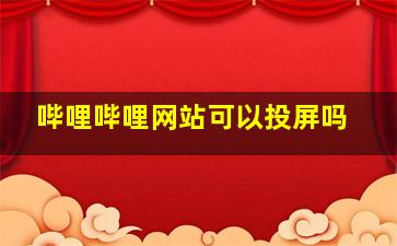 哔哩哔哩网站可以投屏吗