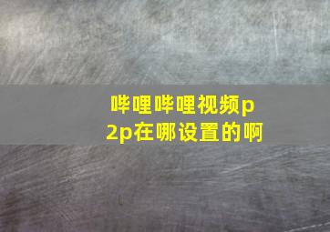 哔哩哔哩视频p2p在哪设置的啊