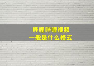 哔哩哔哩视频一般是什么格式