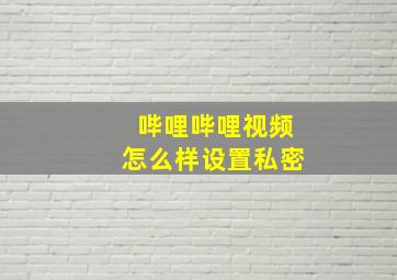 哔哩哔哩视频怎么样设置私密