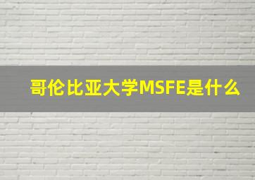 哥伦比亚大学MSFE是什么