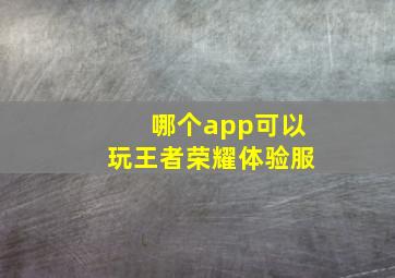 哪个app可以玩王者荣耀体验服