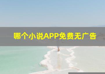 哪个小说APP免费无广告