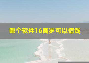 哪个软件16周岁可以借钱