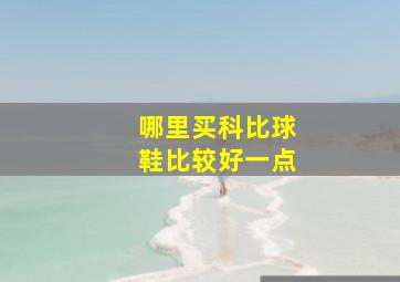 哪里买科比球鞋比较好一点