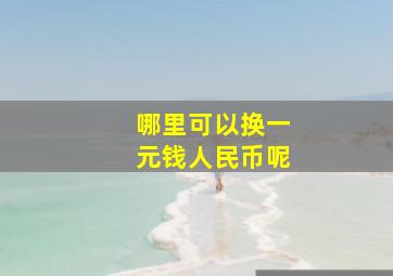 哪里可以换一元钱人民币呢