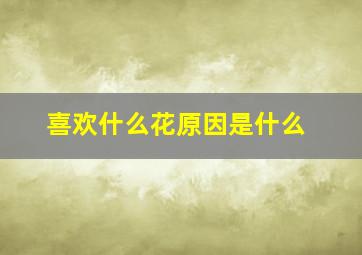 喜欢什么花原因是什么