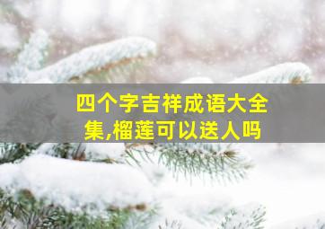 四个字吉祥成语大全集,榴莲可以送人吗