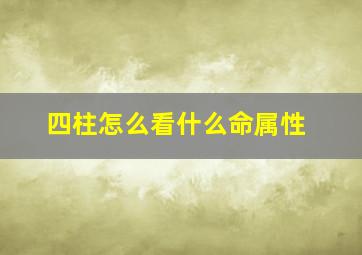 四柱怎么看什么命属性