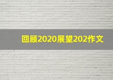 回顾2020展望202作文