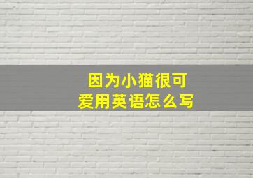 因为小猫很可爱用英语怎么写