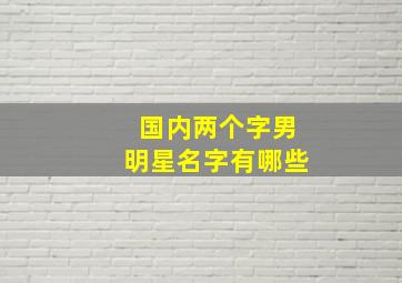 国内两个字男明星名字有哪些