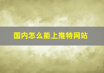 国内怎么能上推特网站